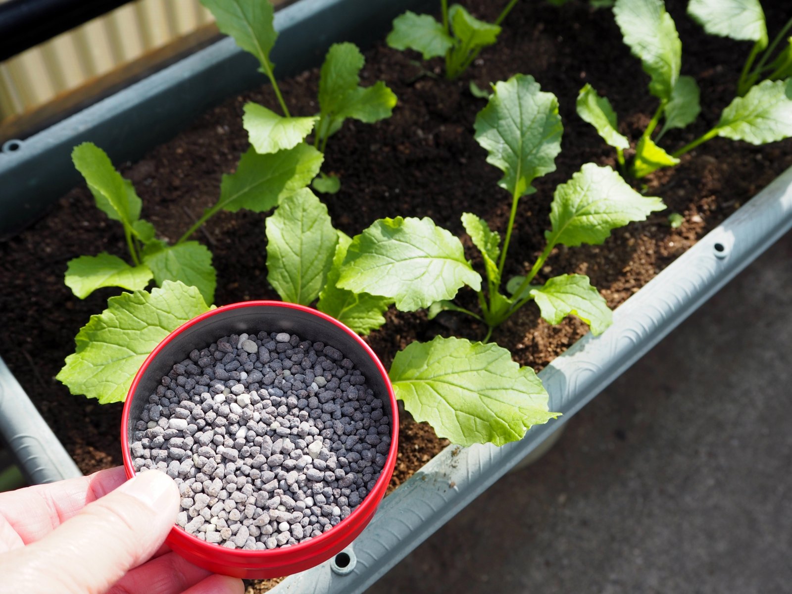 أسمدة كيماوية