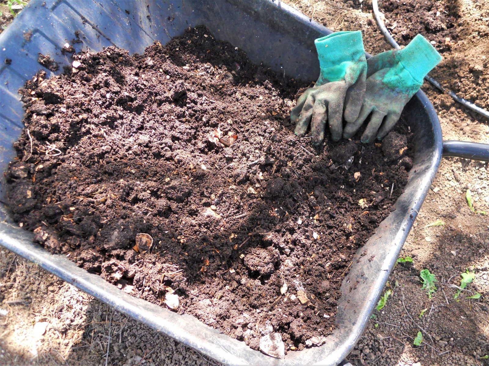 أسمدة عضوية